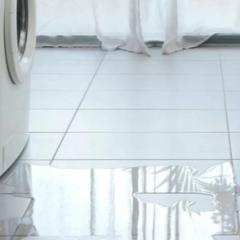 Appliance Leak Cleanup in Powell County, MT
