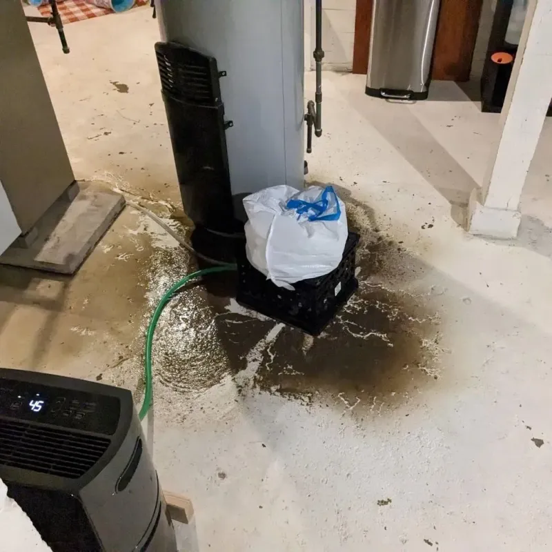 Sewage Backup Cleanup Service in Powell County, MT